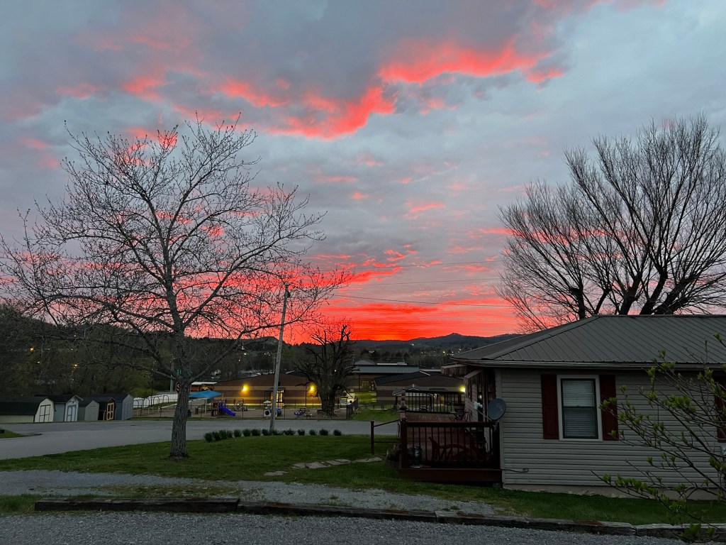 Pink, Purple, Orange, and&nbsp;Reds